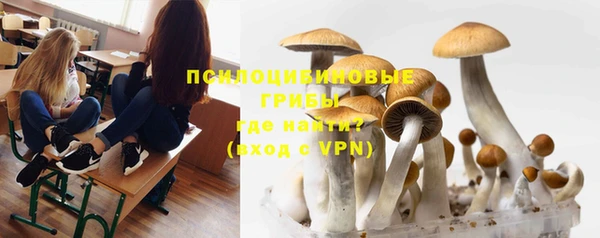 твердый Беломорск